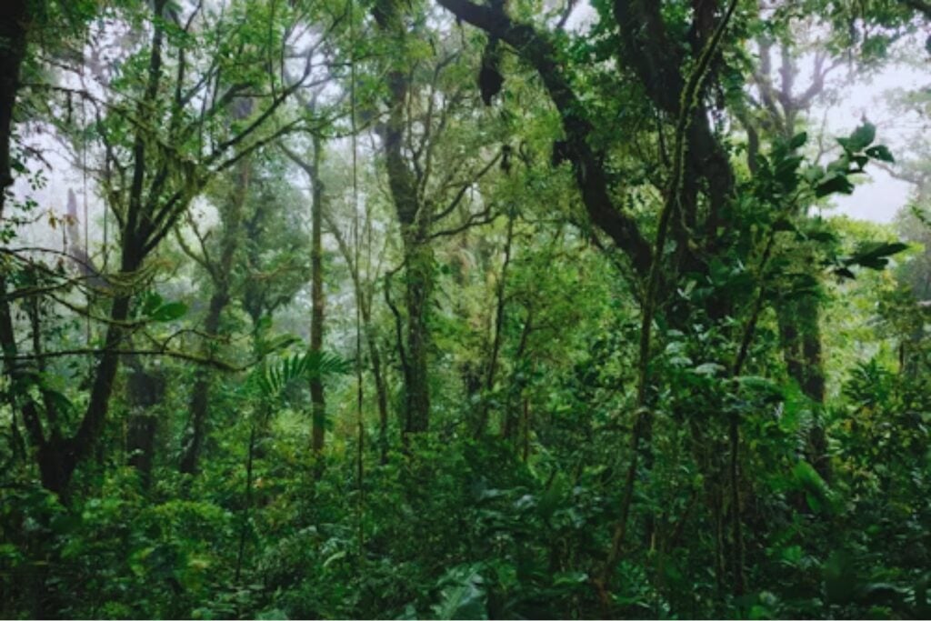 El secreto enterrado en la selva: lo que descubrieron los arqueólogos en la cueva más temida de los mayas