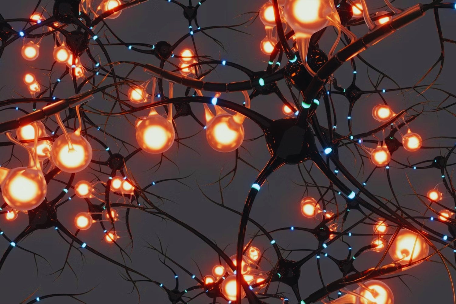 Descubren neuronas que predicen el futuro: el cerebro anticipa lo que aún no ha vivido