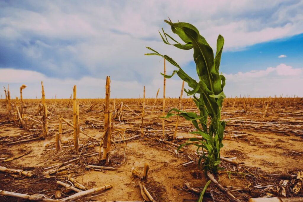 El invento que bebe del aire: crean un dispositivo que podría resolver la escasez de agua en el mundo