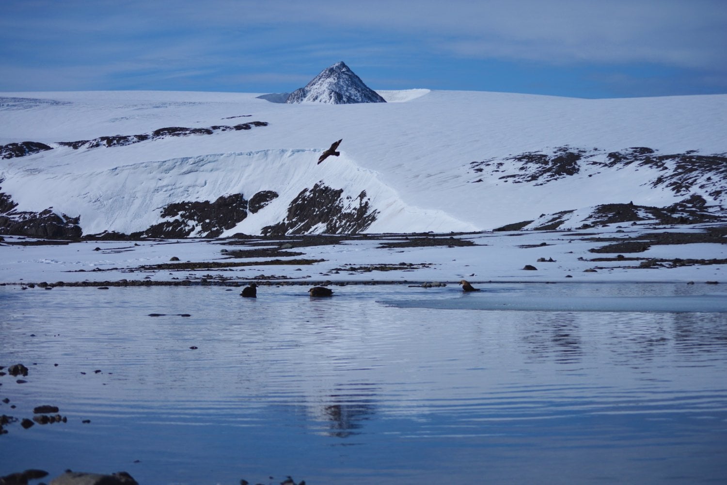 El enigma bajo el hielo: ¿qué se oculta tras la pirámide antártica que desafía a la ciencia?