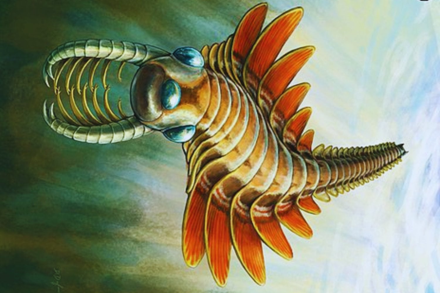 Una criatura marina con tres ojos y respiración trasera desafía lo que creíamos saber sobre la evolución