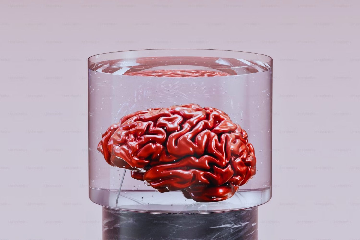 Tu cerebro ya sabe lo que va a pasar: el enigma de cómo predice el futuro sin que lo notes