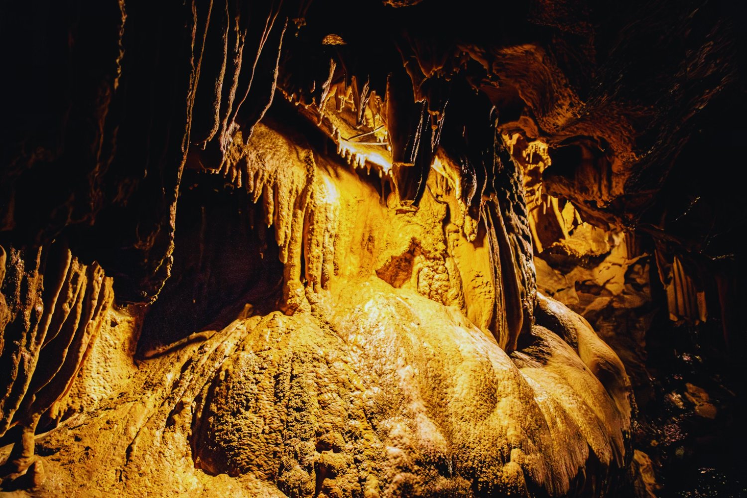 Los monstruos marinos que regresan del pasado: descubren dos nuevas especies de tiburones en la cueva más grande del mundo
