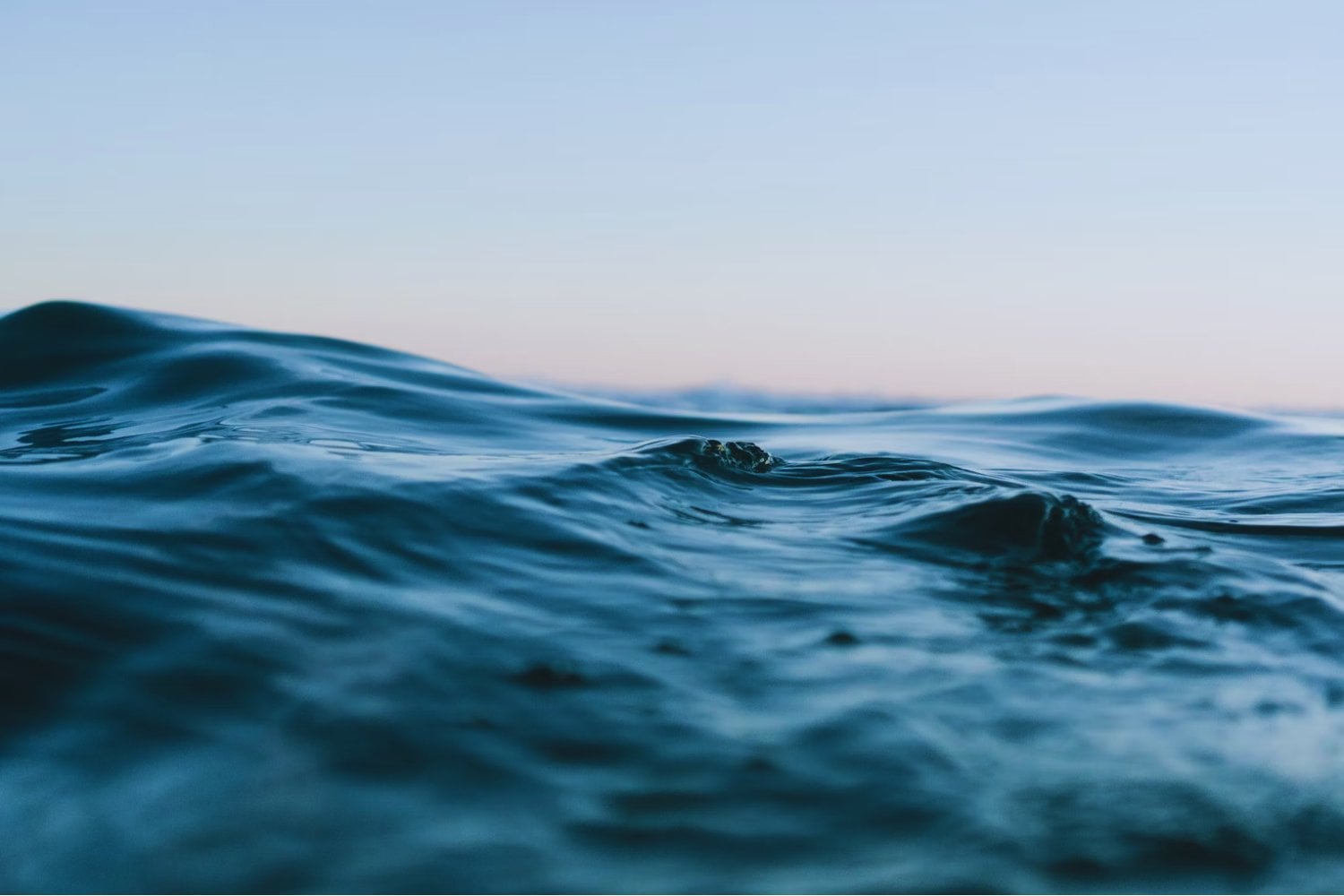 Una criatura marina con tres ojos y respiración trasera desafía lo que creíamos saber sobre la evolución