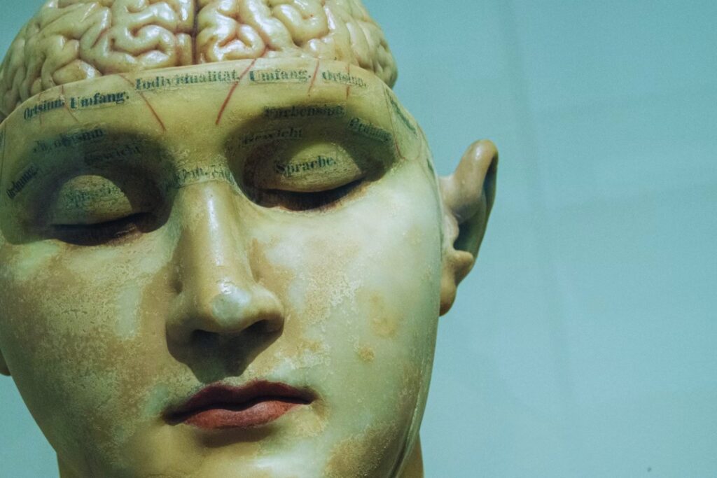 Lo que ocurre en tu cerebro tras dos horas de silencio al día podría cambiarlo todo