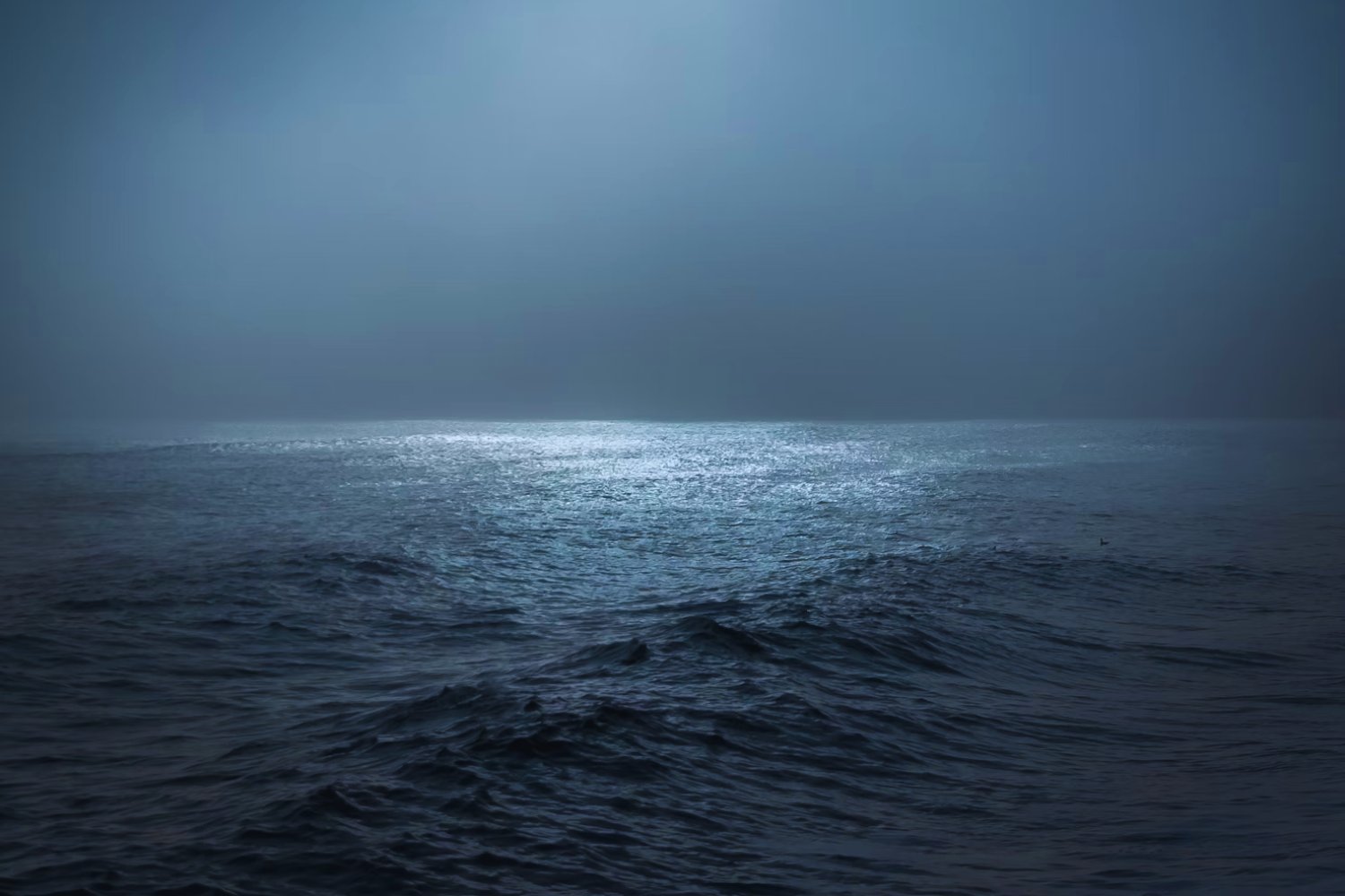 ¿Qué pasaría si el océano perdiera toda su vida? La advertencia científica que nadie quiere escuchar