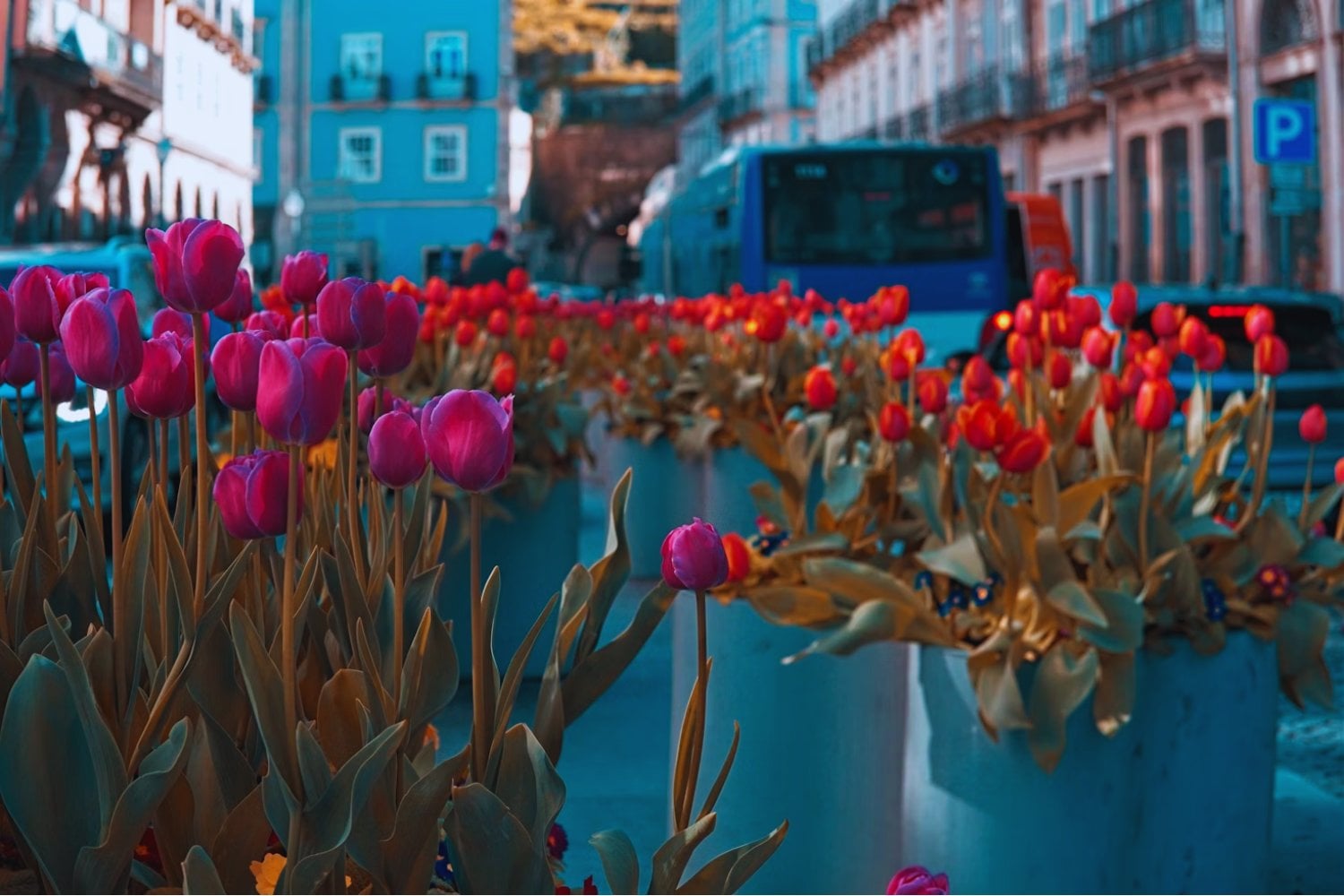 Revelan cuáles son las 10 ciudades más felices del mundo, y una latinoamericana sorprende en el ranking