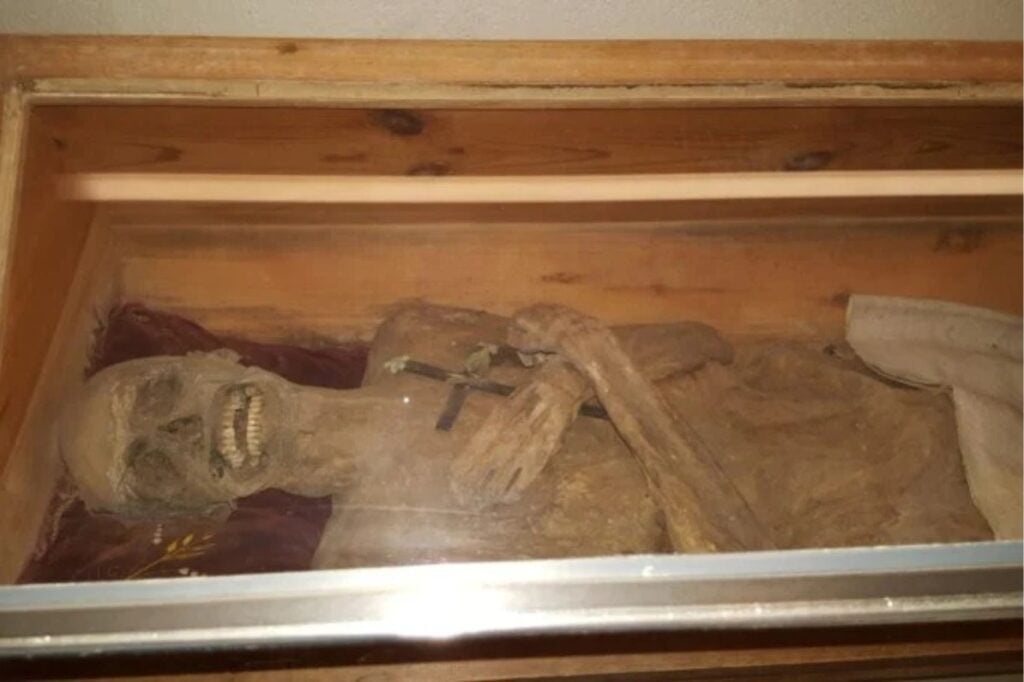 Diseño Sin Título 2025 05 02t110404.413