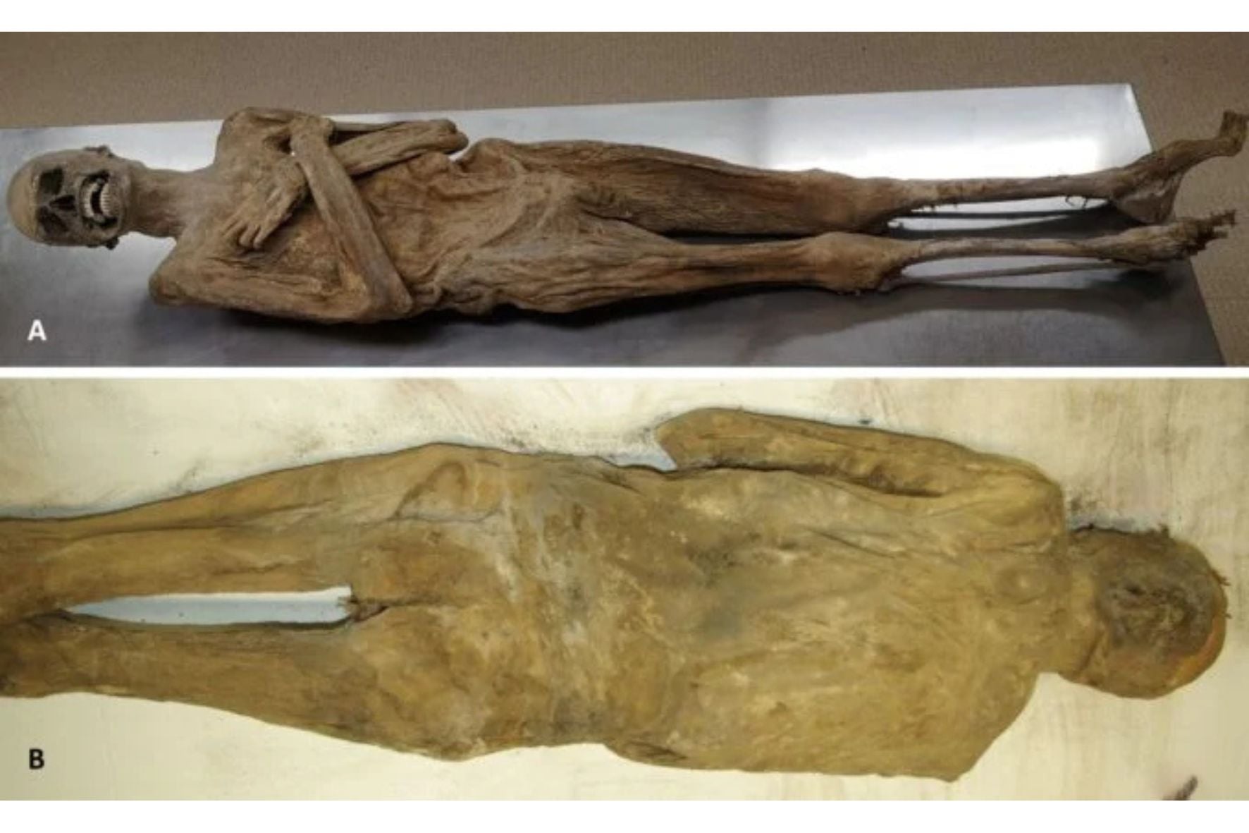 Diseño Sin Título 2025 05 02t110944.198