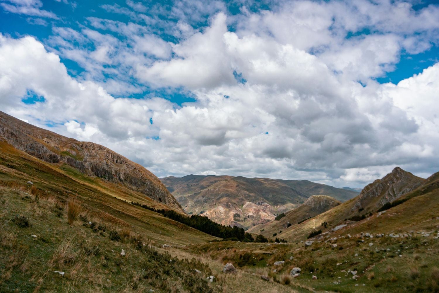 Diseño Sin Título 2025 05 08t092505.568