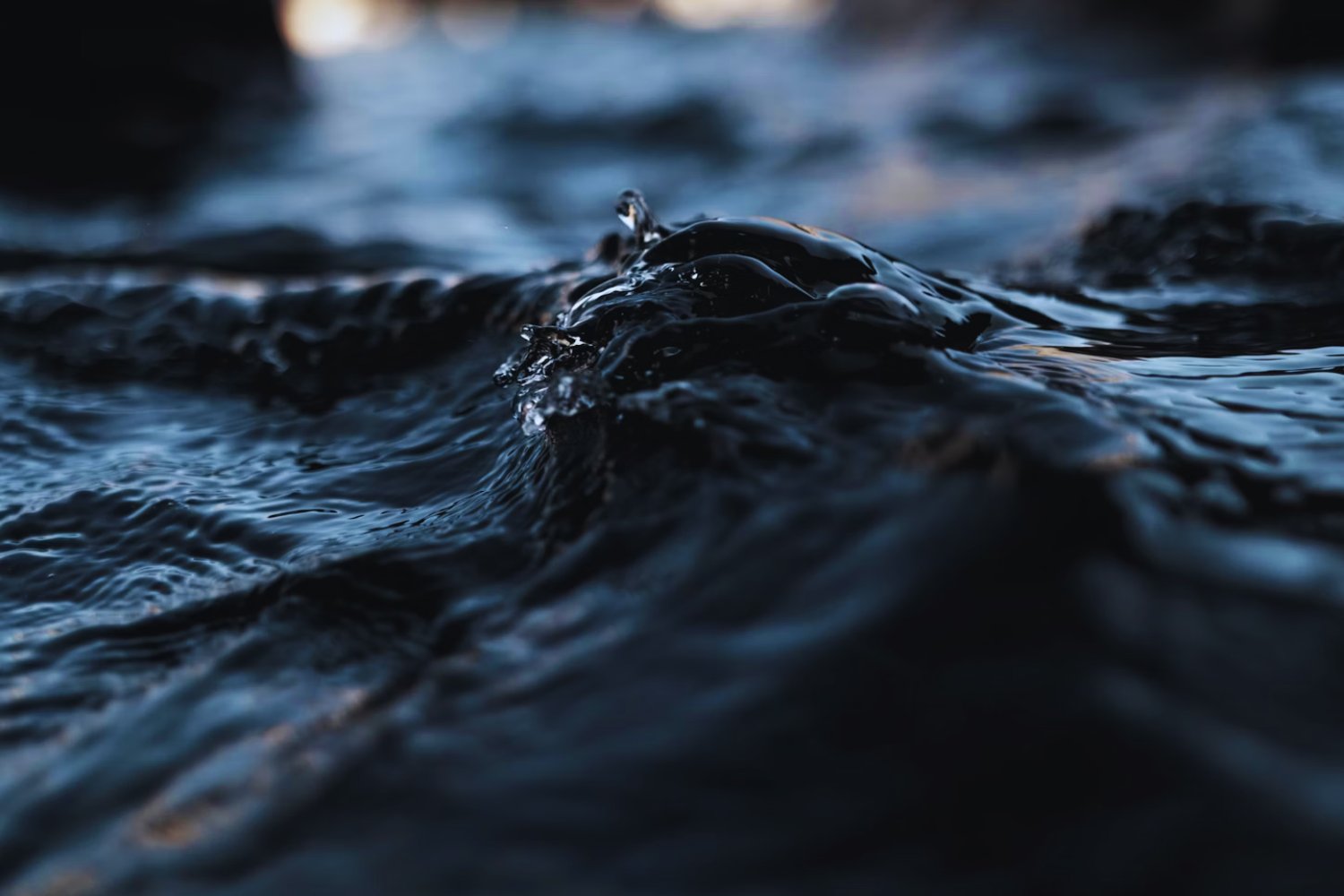 ¿Qué pasaría si el océano perdiera toda su vida? La advertencia científica que nadie quiere escuchar