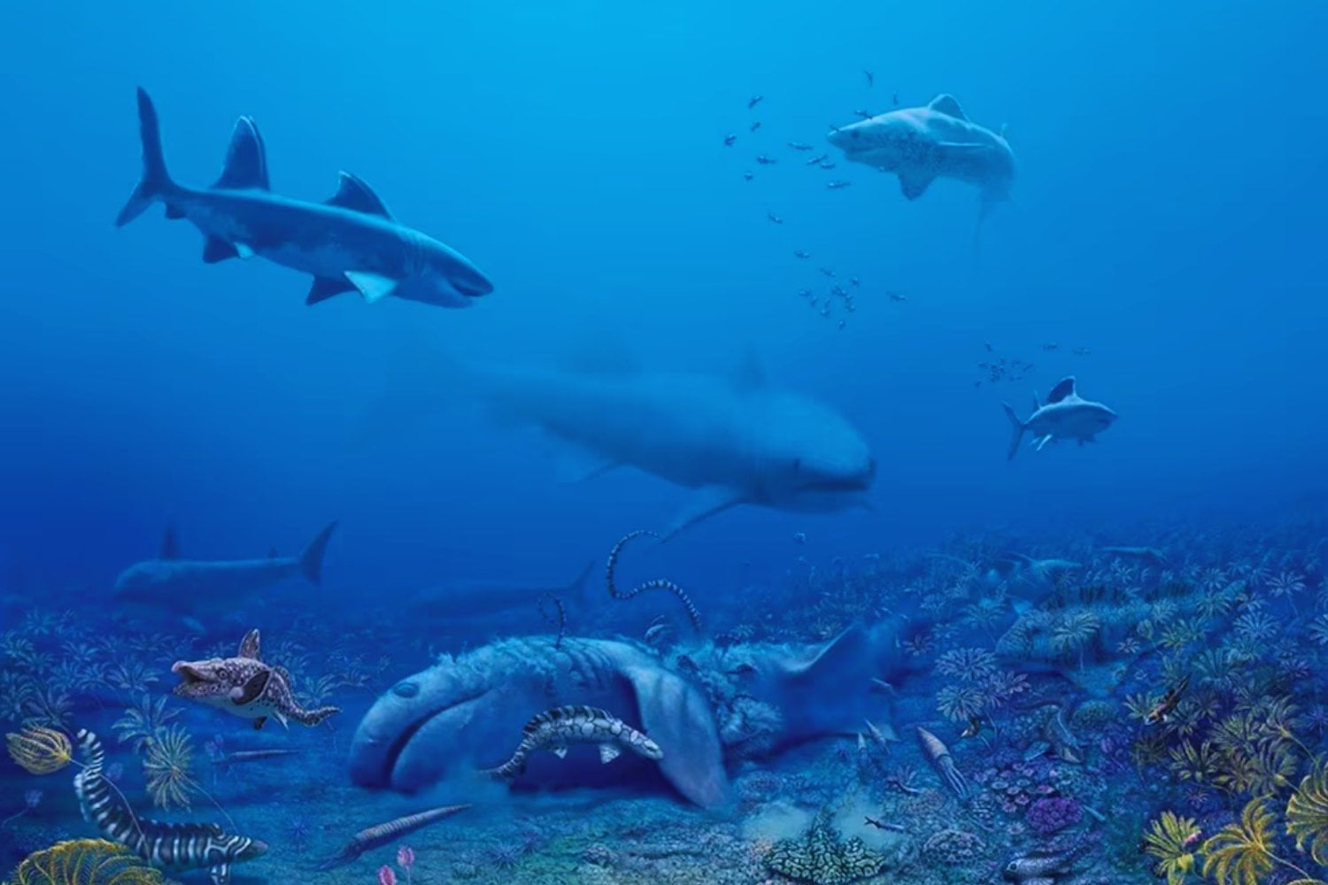 Los monstruos marinos que regresan del pasado: descubren dos nuevas especies de tiburones en la cueva más grande del mundo