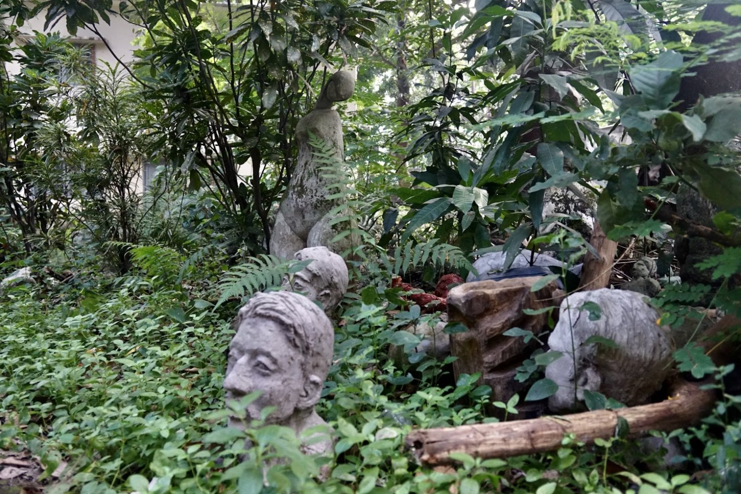 Un clic que reescribe la historia: descubren por accidente una megaciudad maya en la selva mexicana