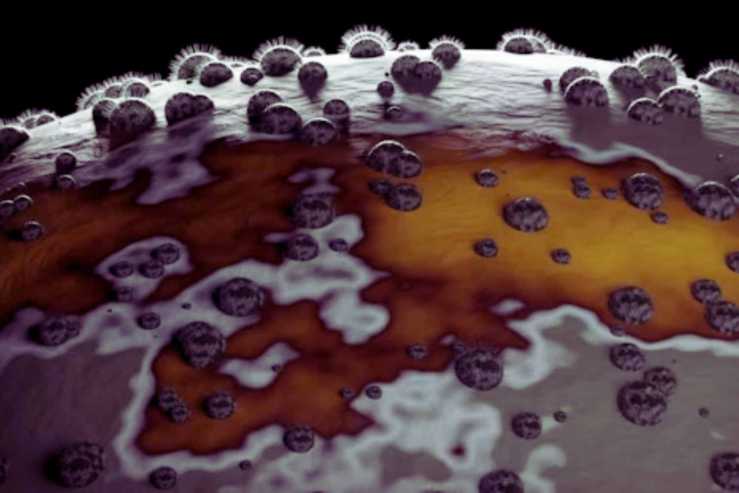 Una bacteria jamás vista en la Tierra aparece en la estación espacial china: ¿nació en el espacio?
