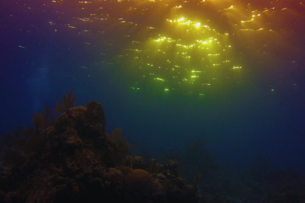 La huella escondida bajo el mar: la supererupción ancestral que reescribe la historia de la Tierra