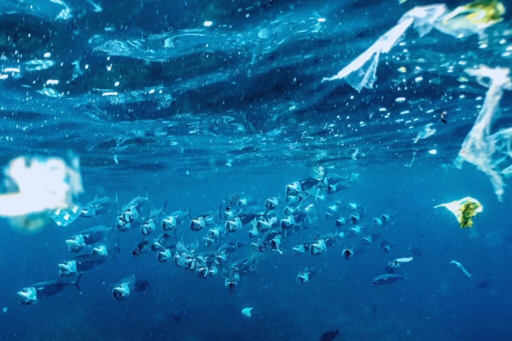 Lo que el océano esconde: microplásticos hallados hasta en la fosa más profunda del planeta