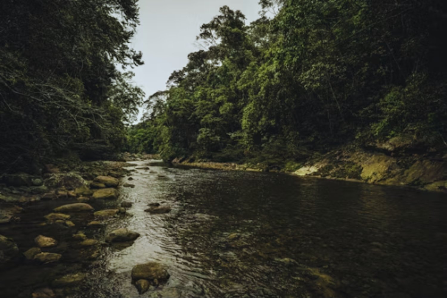 La otra amenaza invisible en la Amazonía: cae la deforestación, pero el suelo sufre como nunca antes