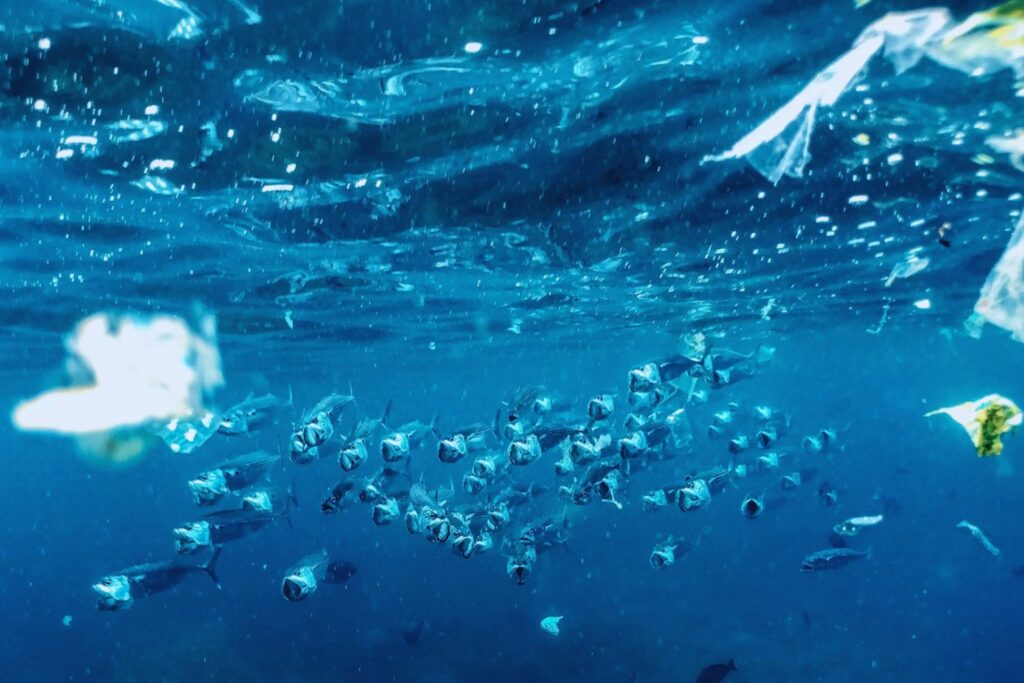 El invasor invisible: así colonizan los microplásticos los océanos, el aire… y tu cuerpo