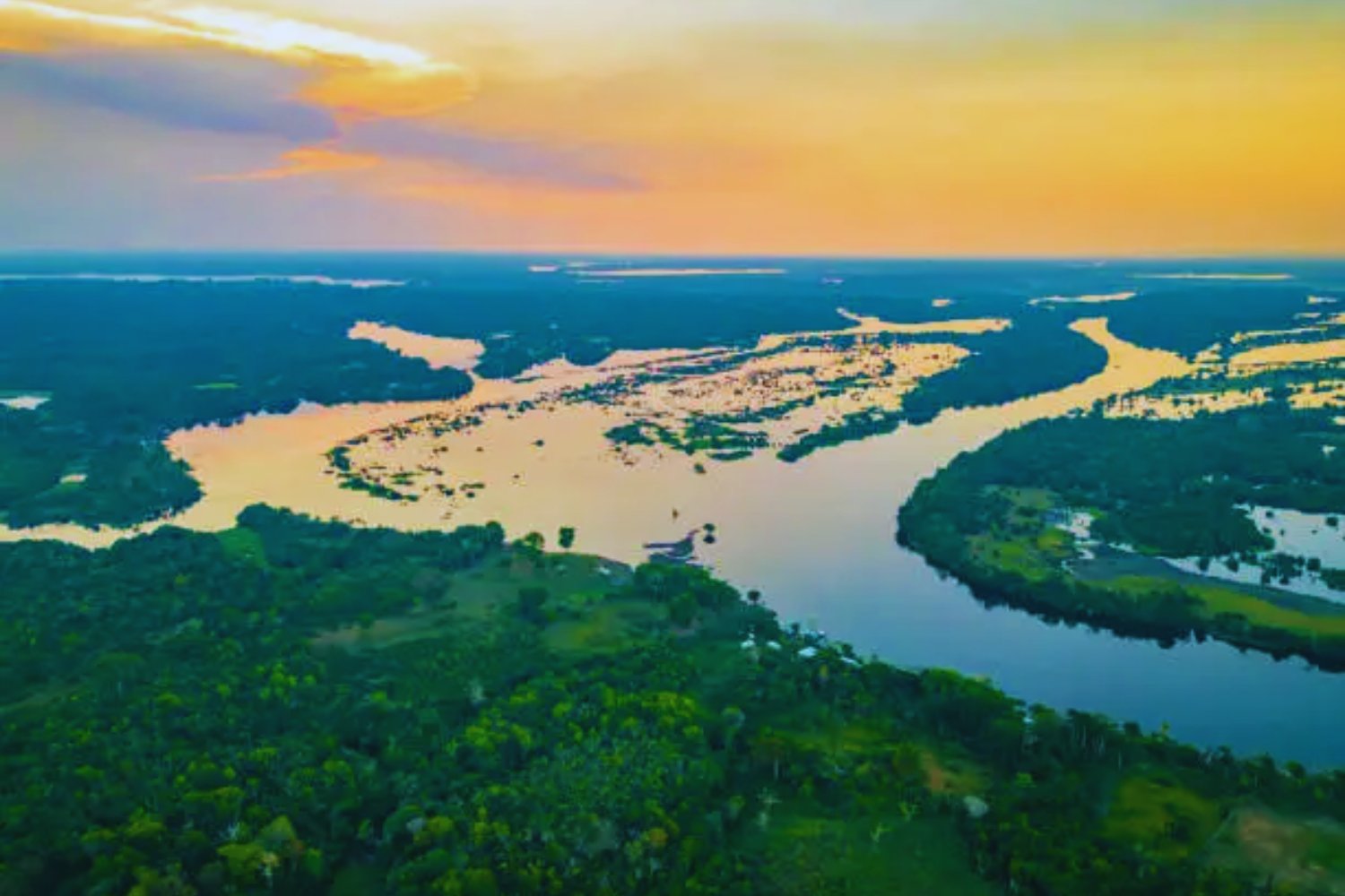 La otra amenaza invisible en la Amazonía: cae la deforestación, pero el suelo sufre como nunca antes