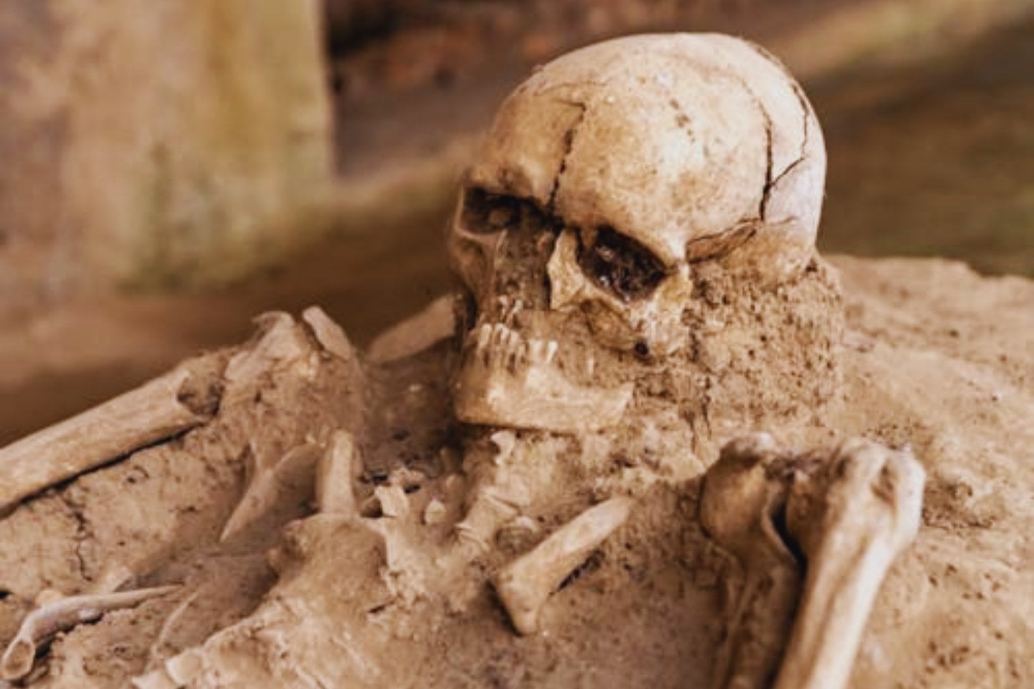 ¿Y si el origen del hombre no fue donde creíamos? El hallazgo en China que desconcierta a la ciencia