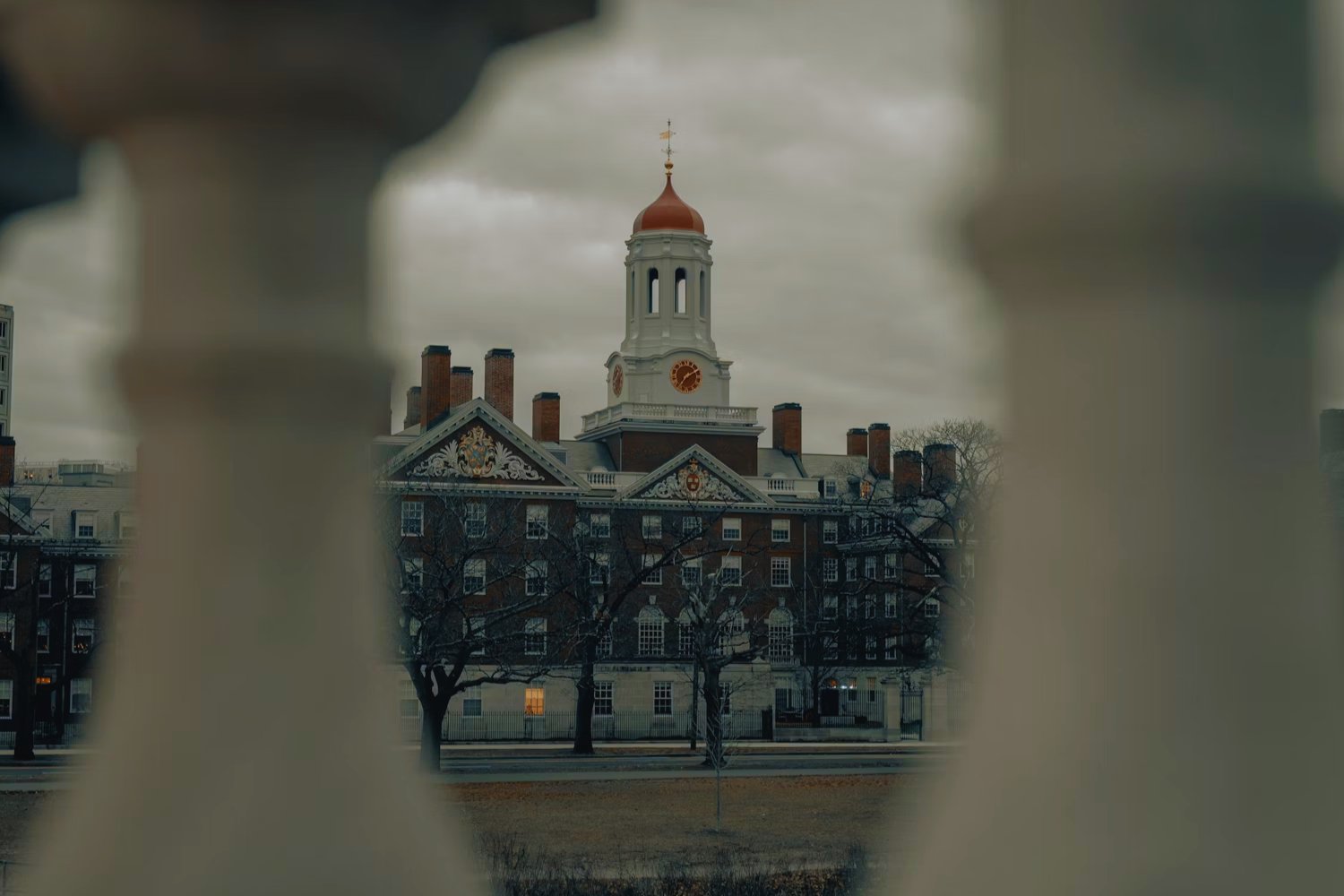 ¿El fin del sueño americano para miles de estudiantes? Harvard vetada y el mundo en alerta