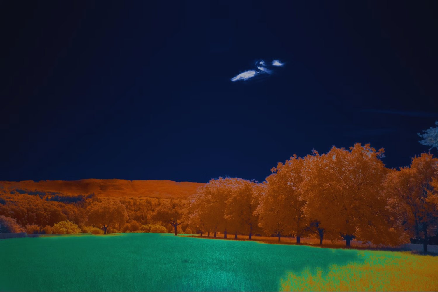 La CIA libera un informe sobre un presunto ataque alienígena a soldados soviéticos: ¿ficción o amenaza olvidada?