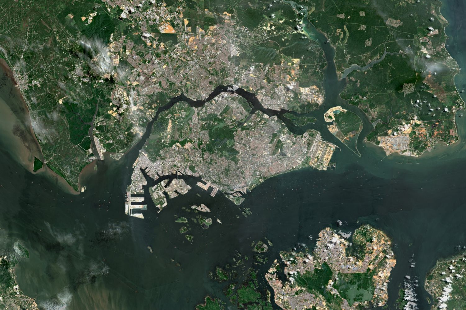 Diseño Sin Título (26)