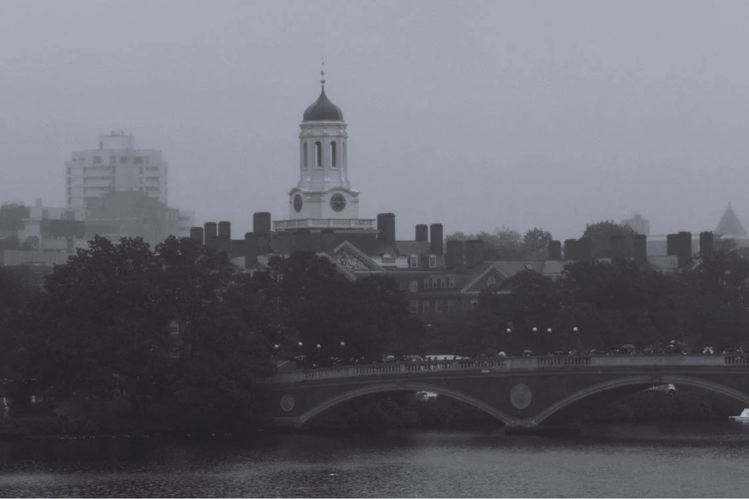 ¿El fin del sueño americano para miles de estudiantes? Harvard vetada y el mundo en alerta