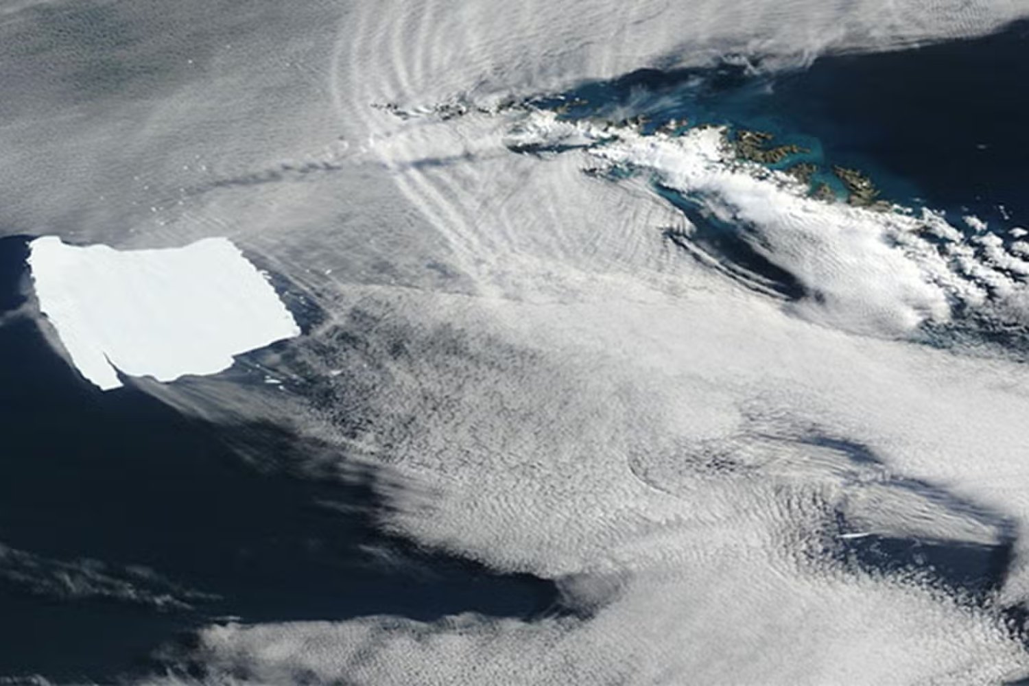 El coloso que se desintegra: el iceberg más grande del mundo se fragmenta y amenaza la vida en la Antártida
