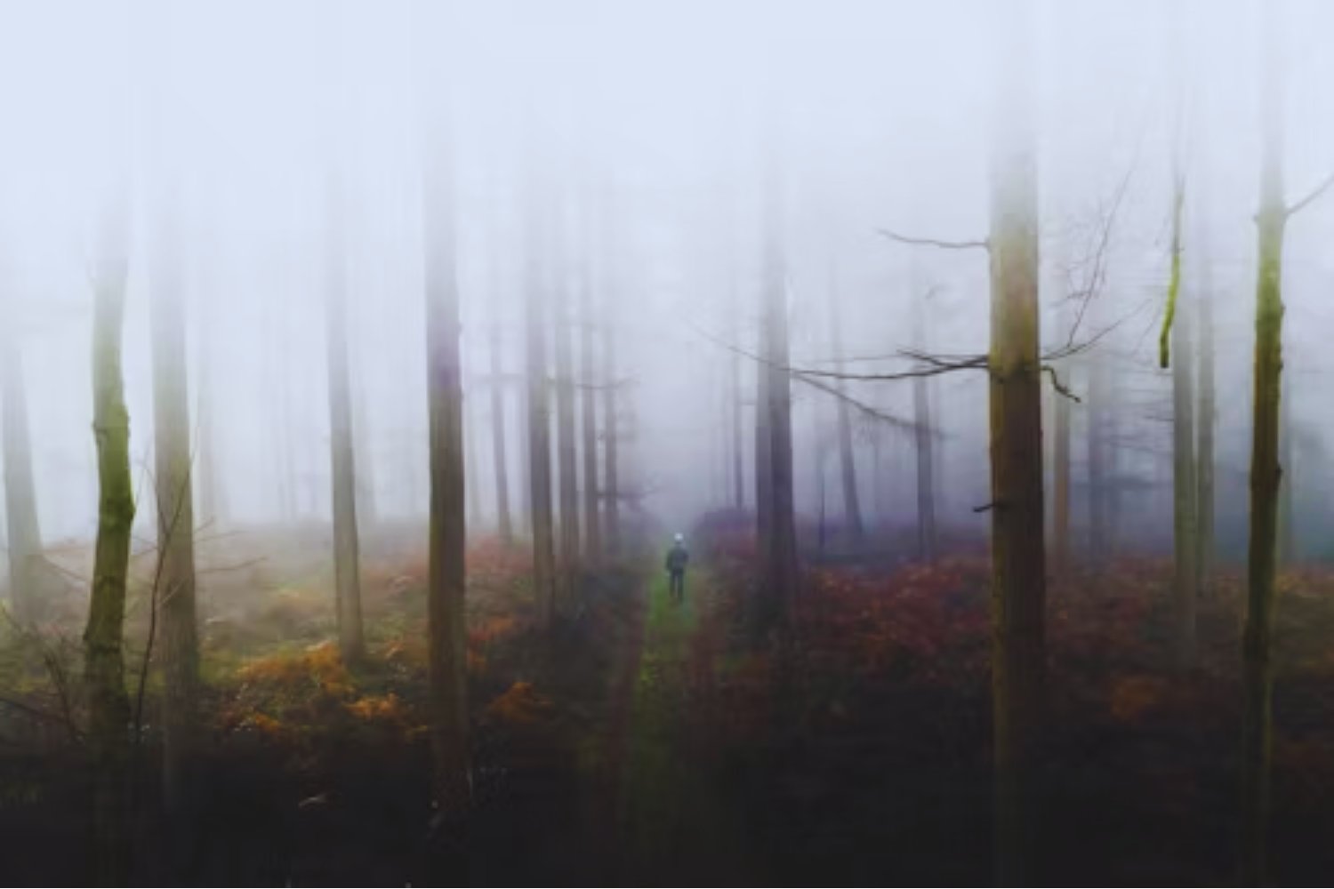 Los secretos ocultos del sur: el rincón de América Latina que fascina a los buscadores de lo inexplicable