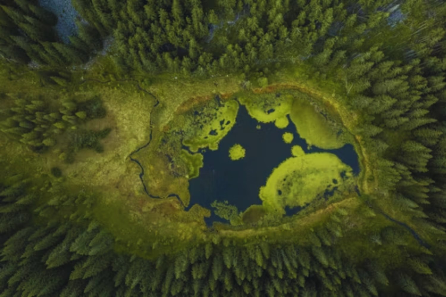 Una fuente de energía milenaria oculta bajo tierra: científicos creen haber hallado el futuro en el hidrógeno natural