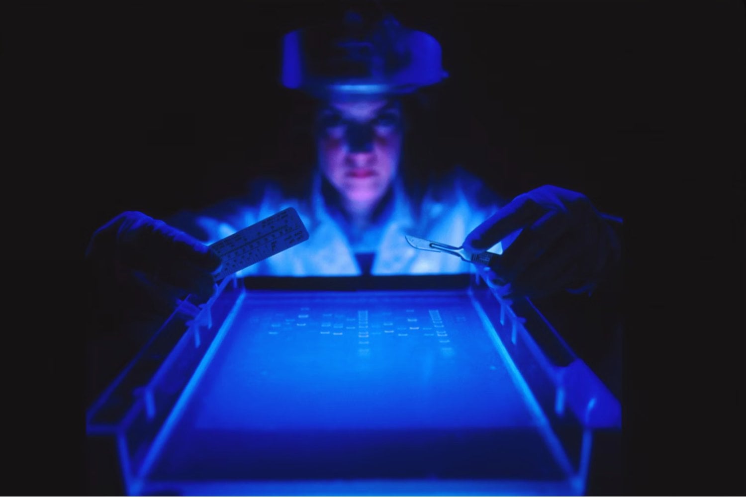 La edición genética da un giro histórico: ya es posible insertar genes completos en células humanas sin cortar el ADN