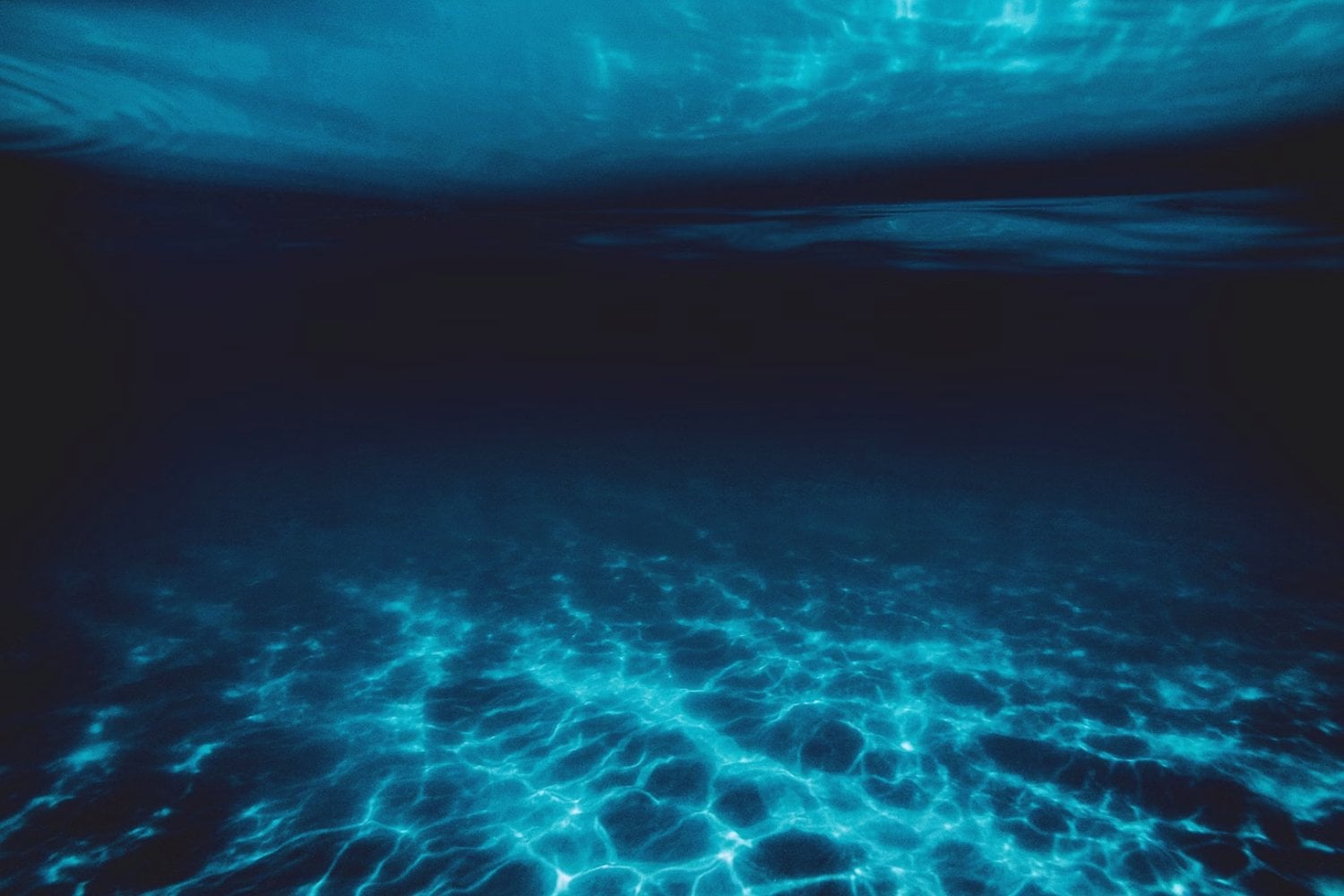 Solo el 0,001&nbsp;% del fondo marino ha sido explorado: la Tierra aún es un misterio