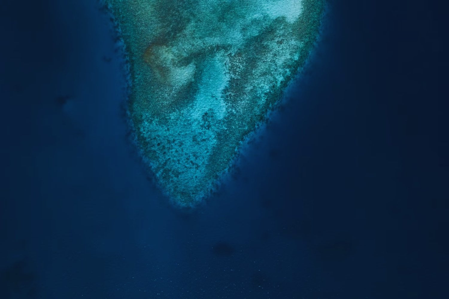 El volcán submarino más activo del Pacífico podría despertar: Científicos temen una erupción inminente frente a metros de Estados Unidos