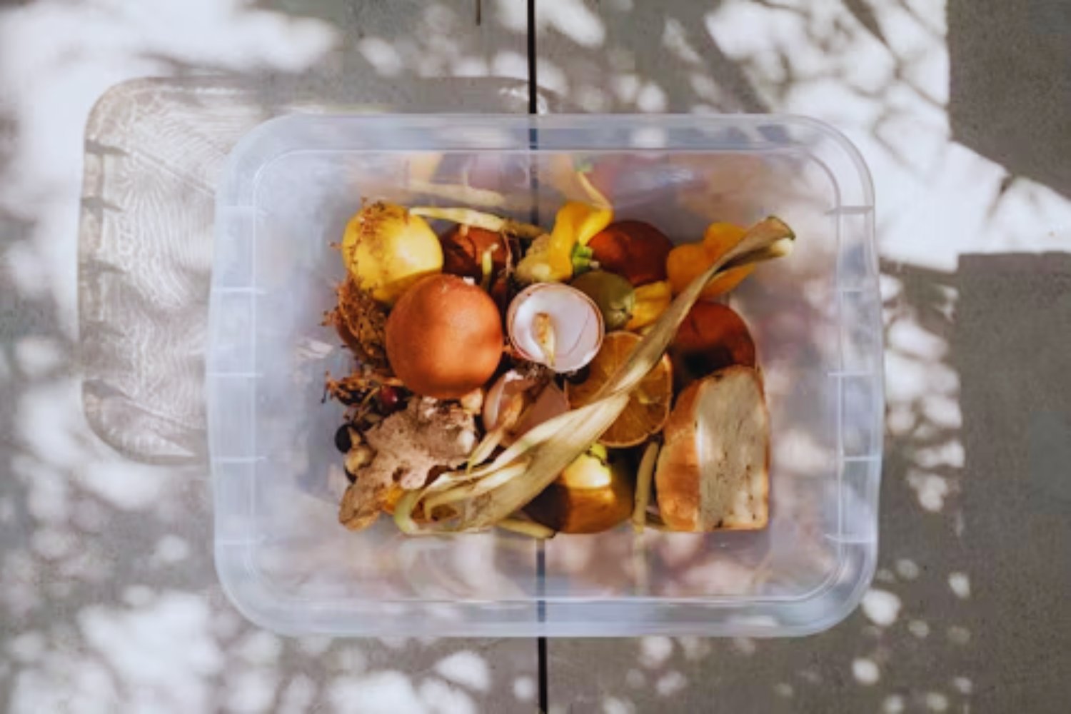 Hasta 9.936 químicos en envases plásticos: nueva alarma sobre su impacto en la salud