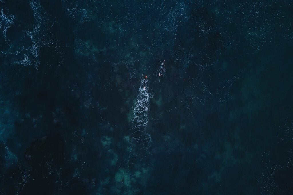 Solo el 0,001 % del fondo marino ha sido explorado: la Tierra aún es un misterio