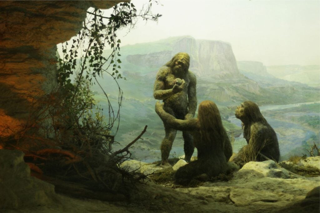 evolucion humana