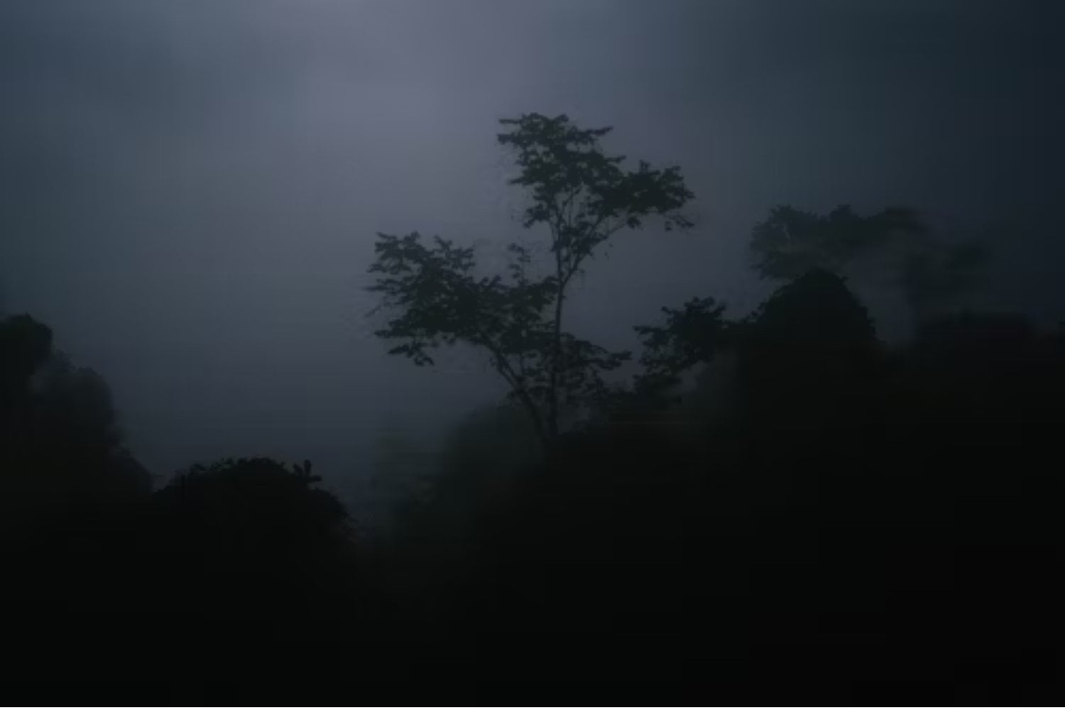 No es Brasil: este es el país más lluvioso del mundo… y está en América del Sur