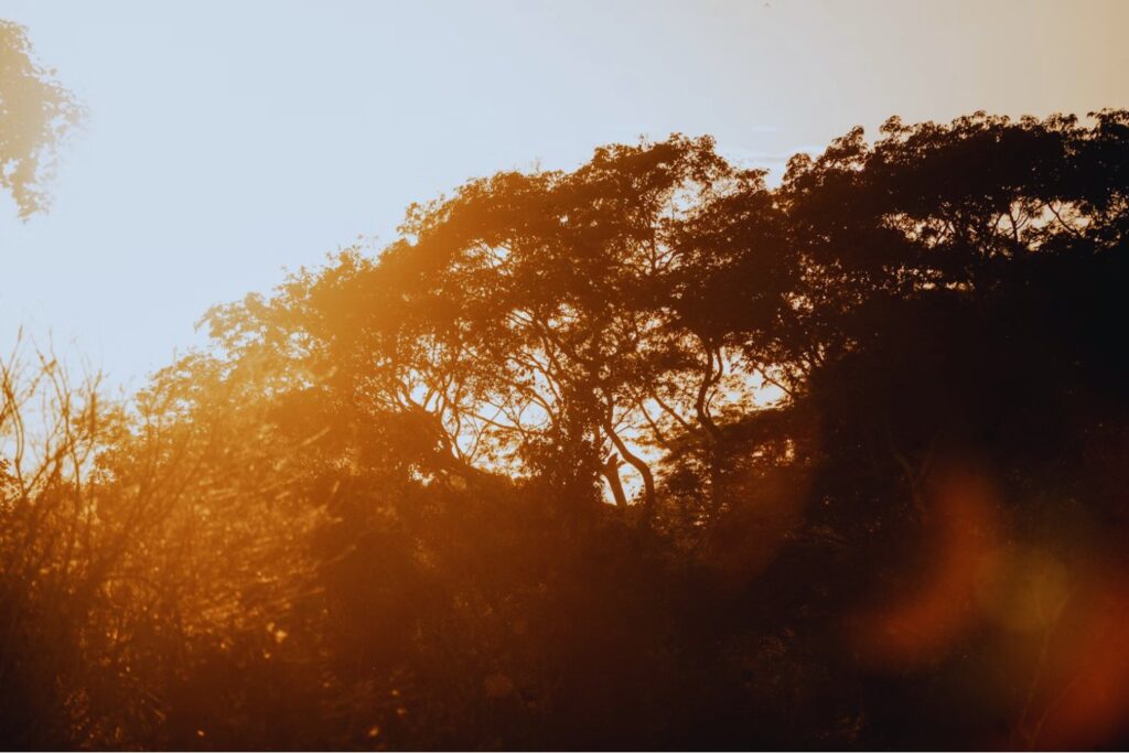 ¿Qué es esta forma? nadie tiene la respuesta sobre el misterioso cono del Amazonas