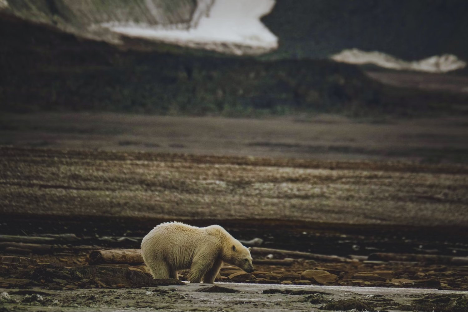 El 10% más rico está detrás de dos tercios del calentamiento global: Con razón no creen en el cambio climático