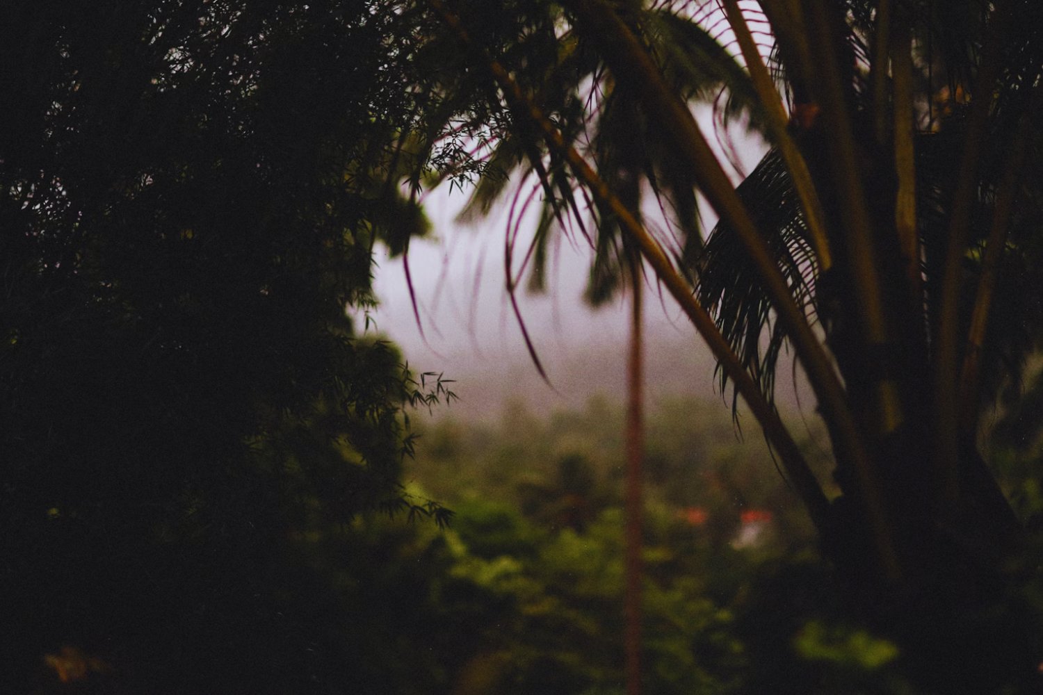 No es Brasil: este es el país más lluvioso del mundo… y está en América del Sur