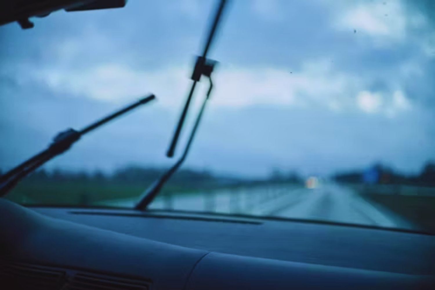 Desaparecen insectos: caen 63&nbsp;% en matrículas de autos desde 2021