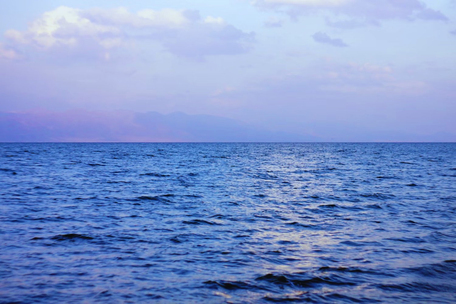 El misterioso mar sin costas que confundió a Colón y hoy ayuda a estabilizar el clima del planeta