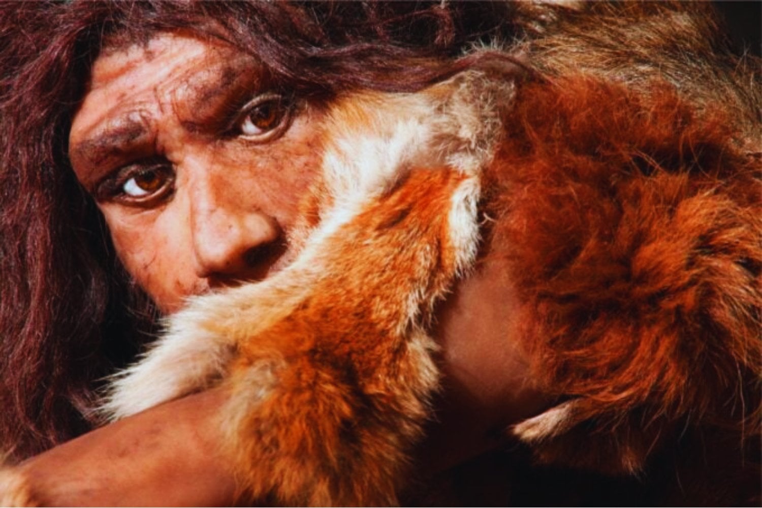 Un neandertal apodado Thorin cambia la historia: vivió aislado durante 50.000 años y nadie lo sabía