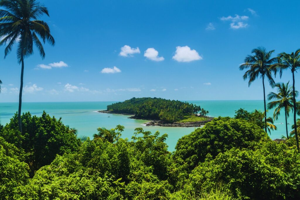 El país de Sudamérica que esconde una isla más grande que Inglaterra: biodiversidad, riqueza y olvido: Guayana.