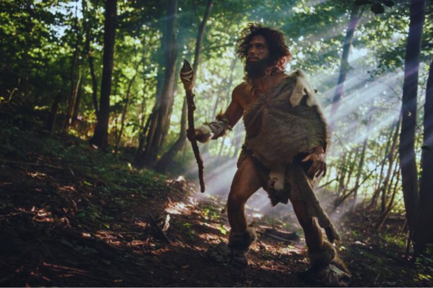 Un neandertal apodado Thorin cambia la historia: vivió aislado durante 50.000 años y nadie lo sabía