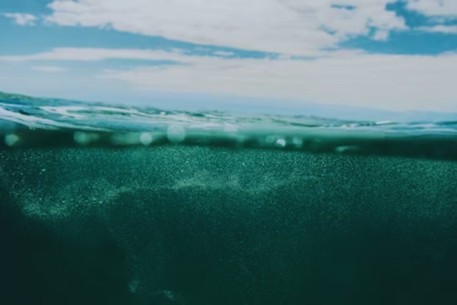 Una criatura de las profundidades domina el 59&nbsp;% del océano… y casi nadie sabía que existía