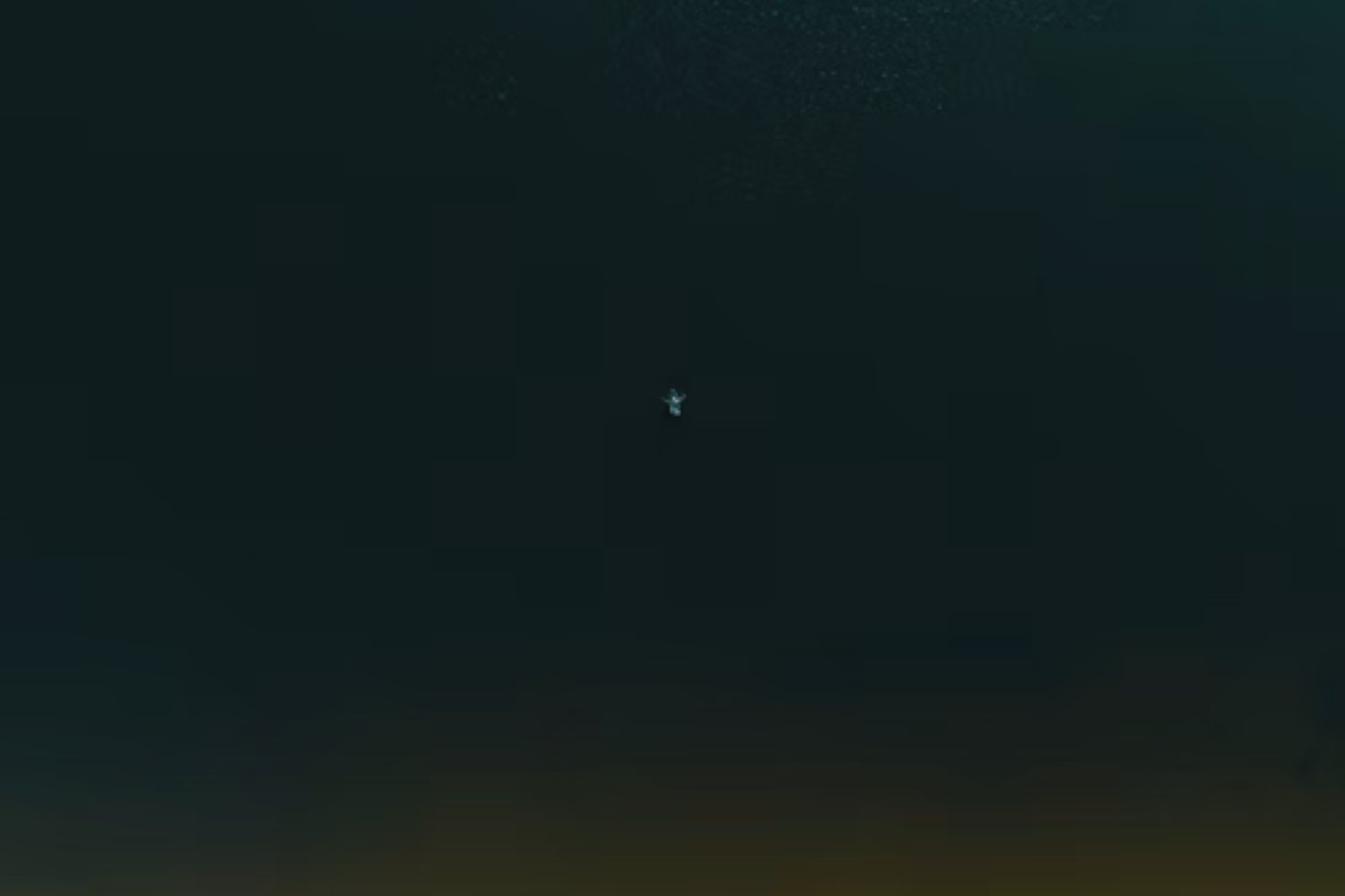 Una criatura de las profundidades domina el 59 % del océano… y casi nadie sabía que existía