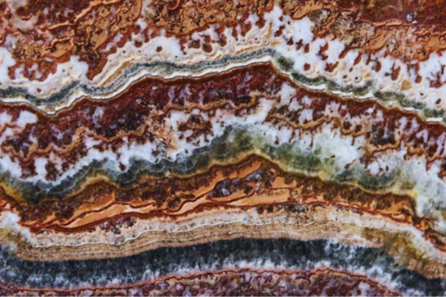 La sorprendente razón geológica por la que el nivel del mar cayó 30 metros hace millones de años