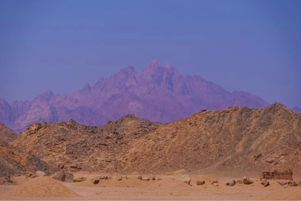 La ciudad olvidada bajo las dunas: el hallazgo que podría reescribir la historia del desierto Extracto: